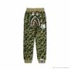 Hypeyourbeast BAPE Chinese Style Ink Camouflage 10th Anniversary Limited Pants 'GREEN'