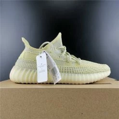 Hypeyourbeast Adidas Yeezy Boost 350 V2 'Antlia'