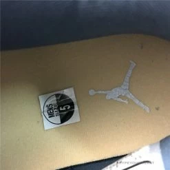 HypeYourBeast Air Jordan 4 WMNS 'Chameleon'