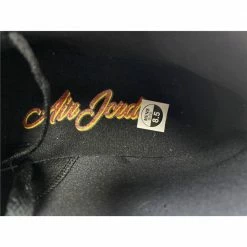 Hypeyourbeast Air Jordan 1 Mid Raygun