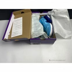 Hypeyourbeast Nike SB Dunk Low 'Blue Fury'