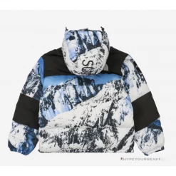 HypeYourBeast Supreme X TNF Mountain Parka