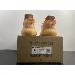 HypeYourBeast Adidas Yeezy Boost 350 V2 'Mono Clay'