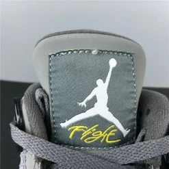 HypeYourBeast Air Jordan 4 'Cool Grey'