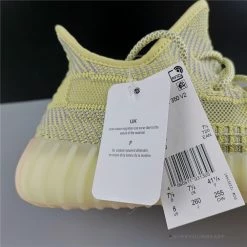 Hypeyourbeast Adidas Yeezy Boost 350 V2 'Antlia'