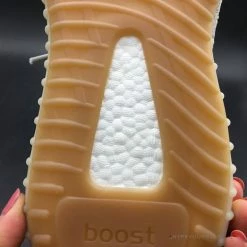 HypeYourBeast Adidas Yeezy Boost 350 V2 'Sesame'