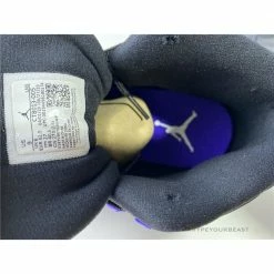 Hypeyourbeast Air Jordan 12 'Dark Concord'