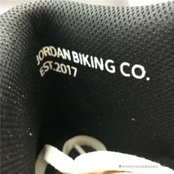 Hypeyourbeast Nigel Sylvester X Air Jordan 1 Retro High OG 'Nigel Sylvester'