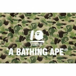 Hypeyourbeast BAPE Chinese Style Ink 10th Anniversary Camouflage Tee Shirt 'GREEN'