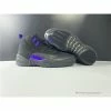 Hypeyourbeast Air Jordan 12 'Dark Concord'