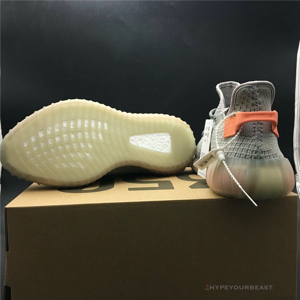 Hypeyourbeast Yeezy Boost 350 V2 'True Form' 6 Hypeyourbeast Yeezy Boost 350 V2 'True Form'